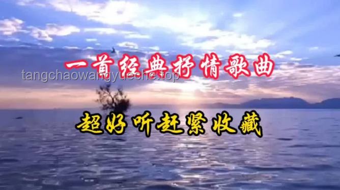 海外游子音乐情：将心中旋律献给老家江边的深情之旅